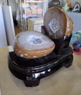 トレジャーメノウ